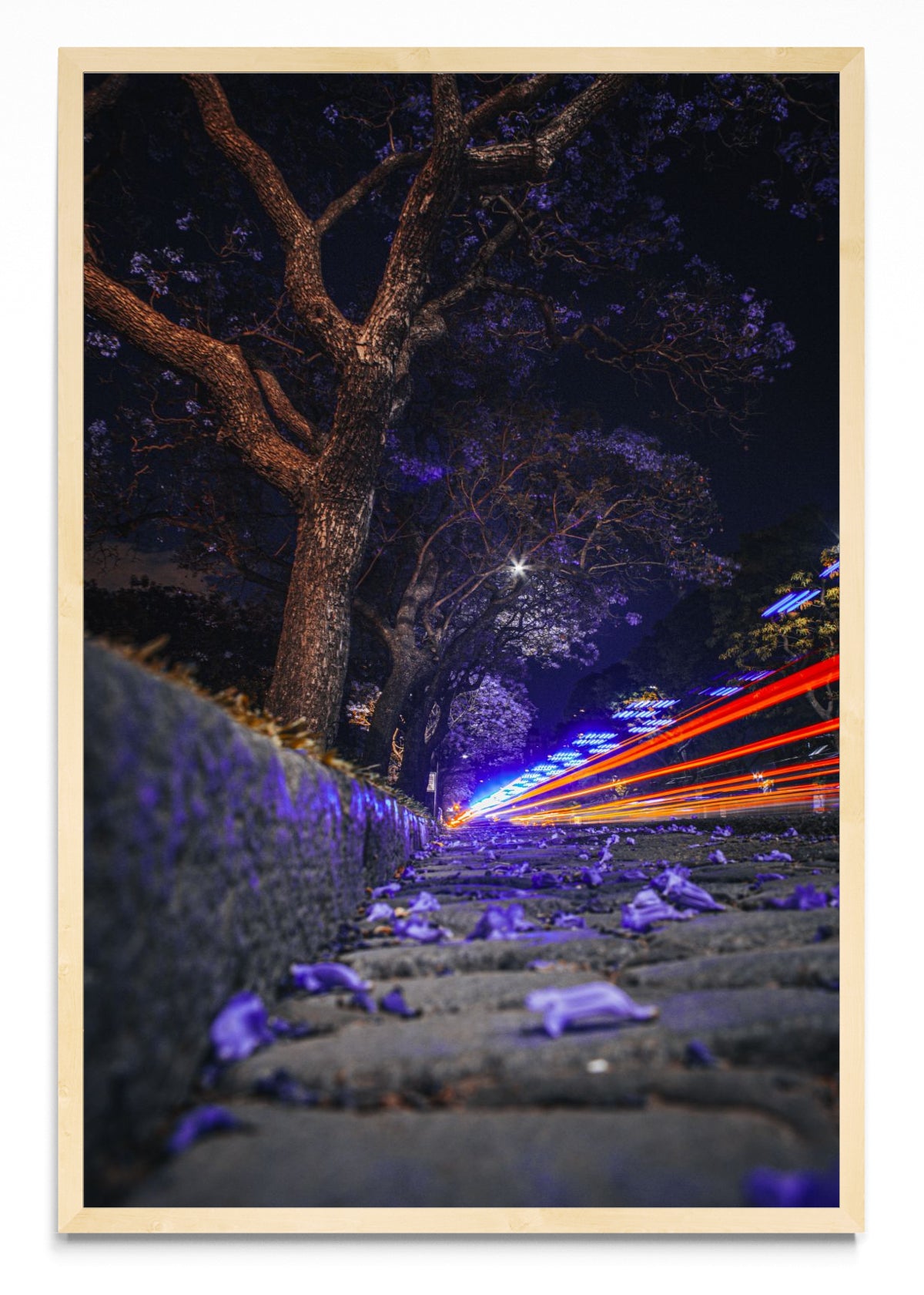 Jacarandá y luces - FotoV MC