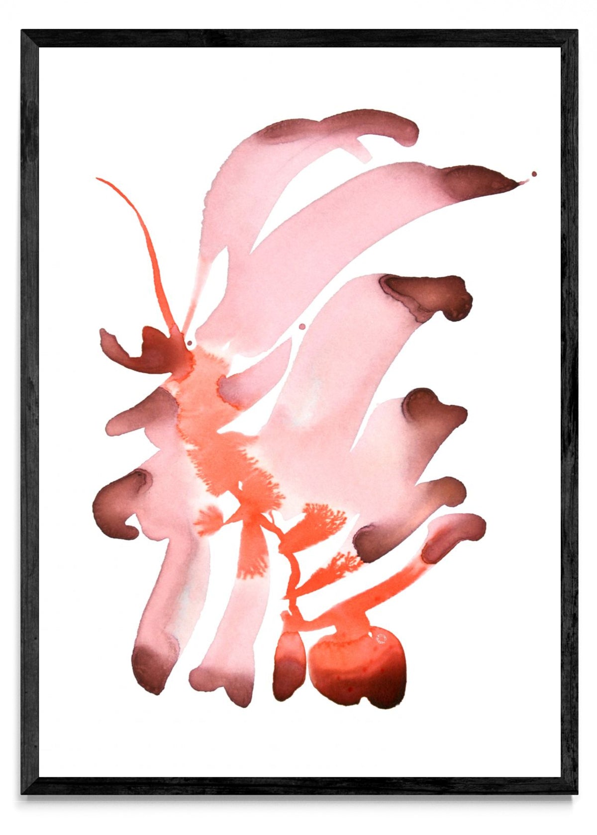 CEIBO 1 - Retrato N