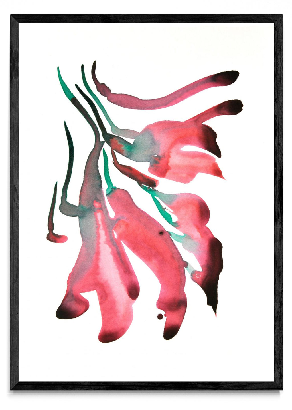 CEIBO 2 - Retrato N