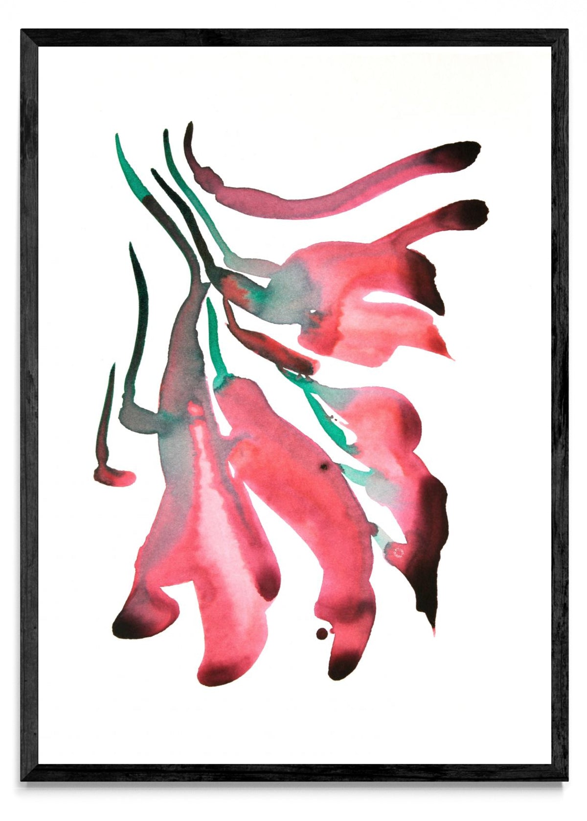 CEIBO 2 - Retrato N