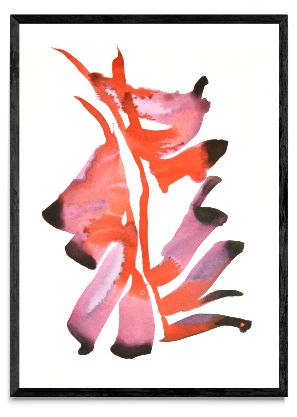 CEIBO 3 - Retrato N