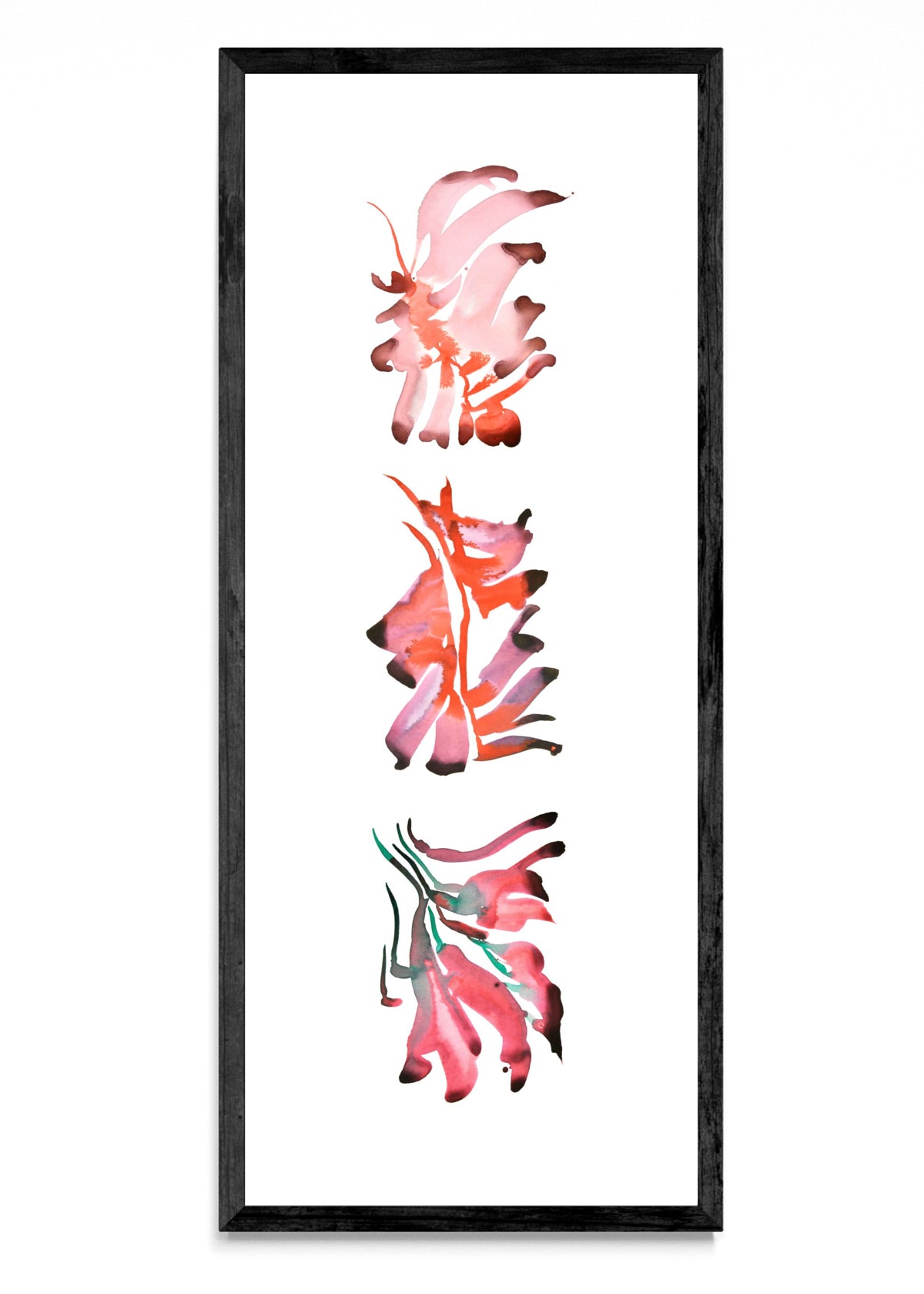 FLORES DE CEIBO 3 - PanoV N