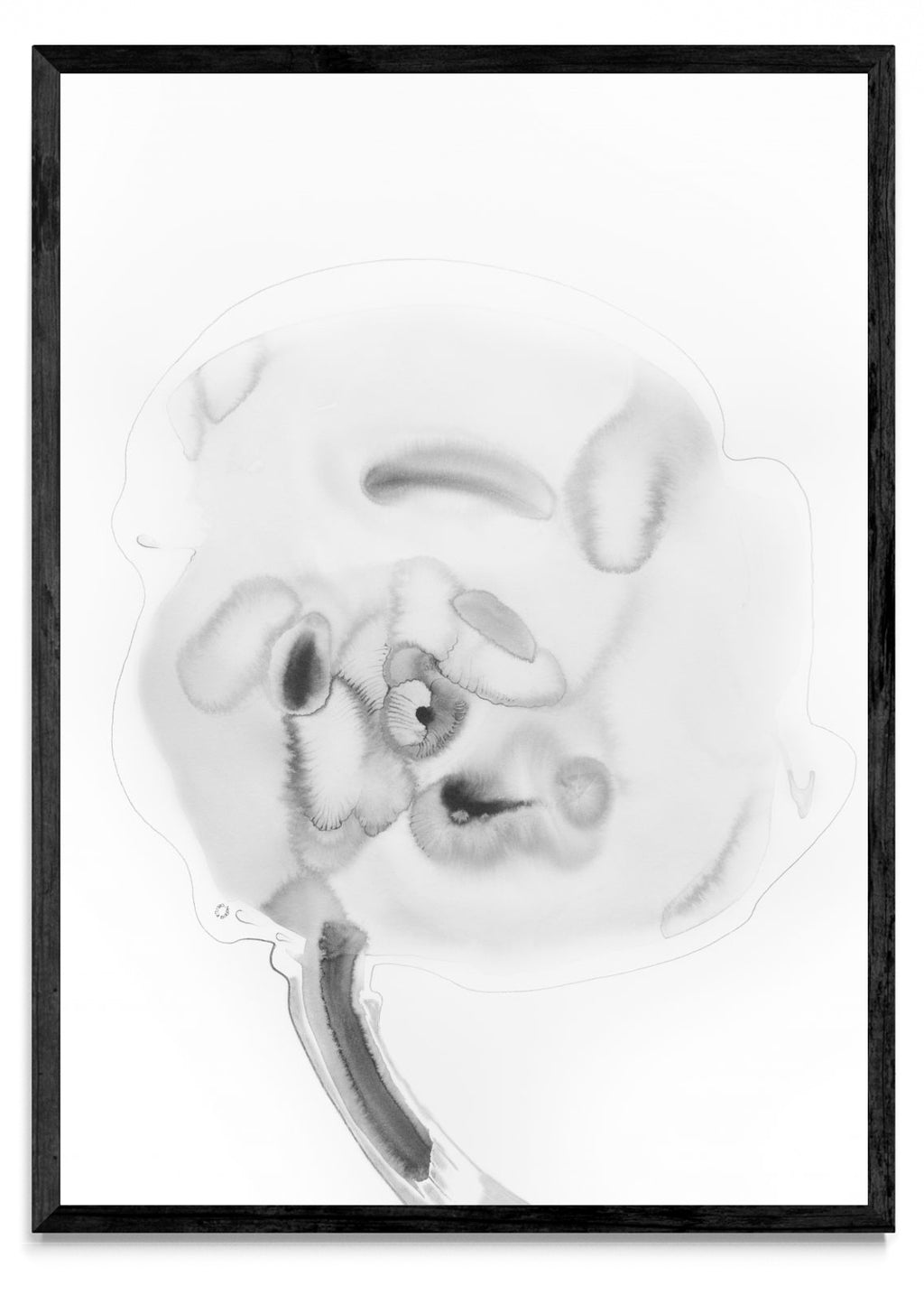 FLOR FANTASMA 1 - Retrato N