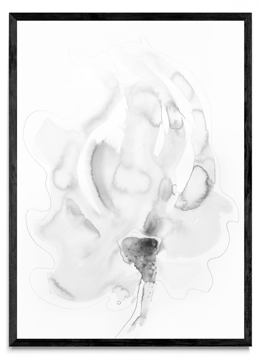 FLOR FANTASMA 2 - Retrato N