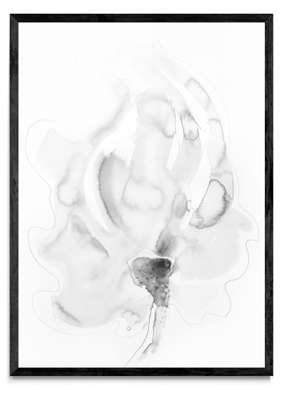 FLOR FANTASMA 2 - Retrato N