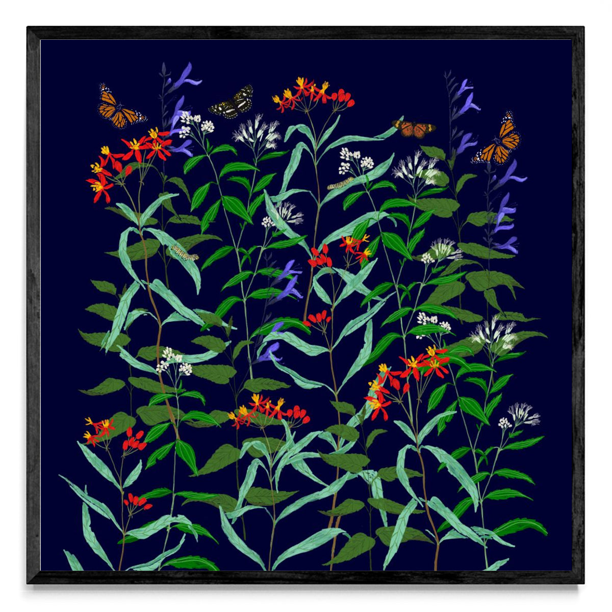 Jardín de Mariposas - Cuadrado N