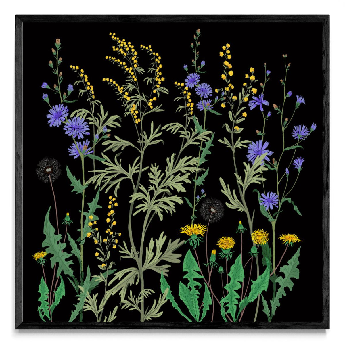 Plantas Cosmopolitas - Cuadrado N