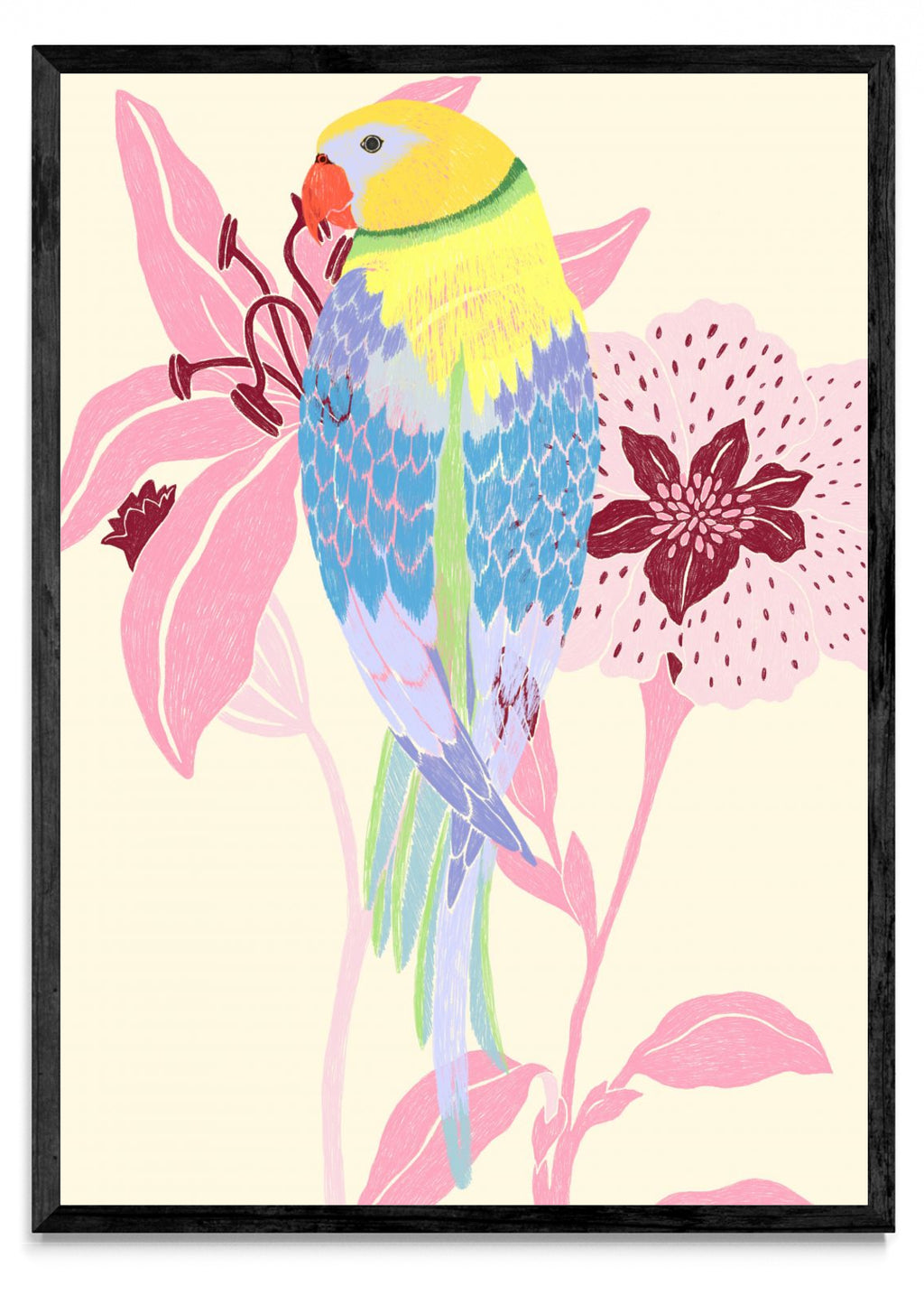 Loro - Retrato N