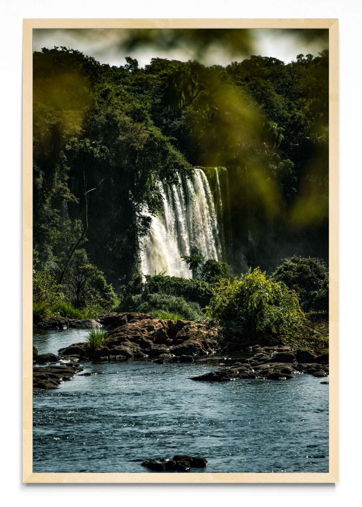 Susurros de la Selva - FotoV MC