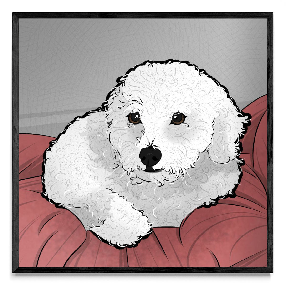 Caniche - Cuadrado N