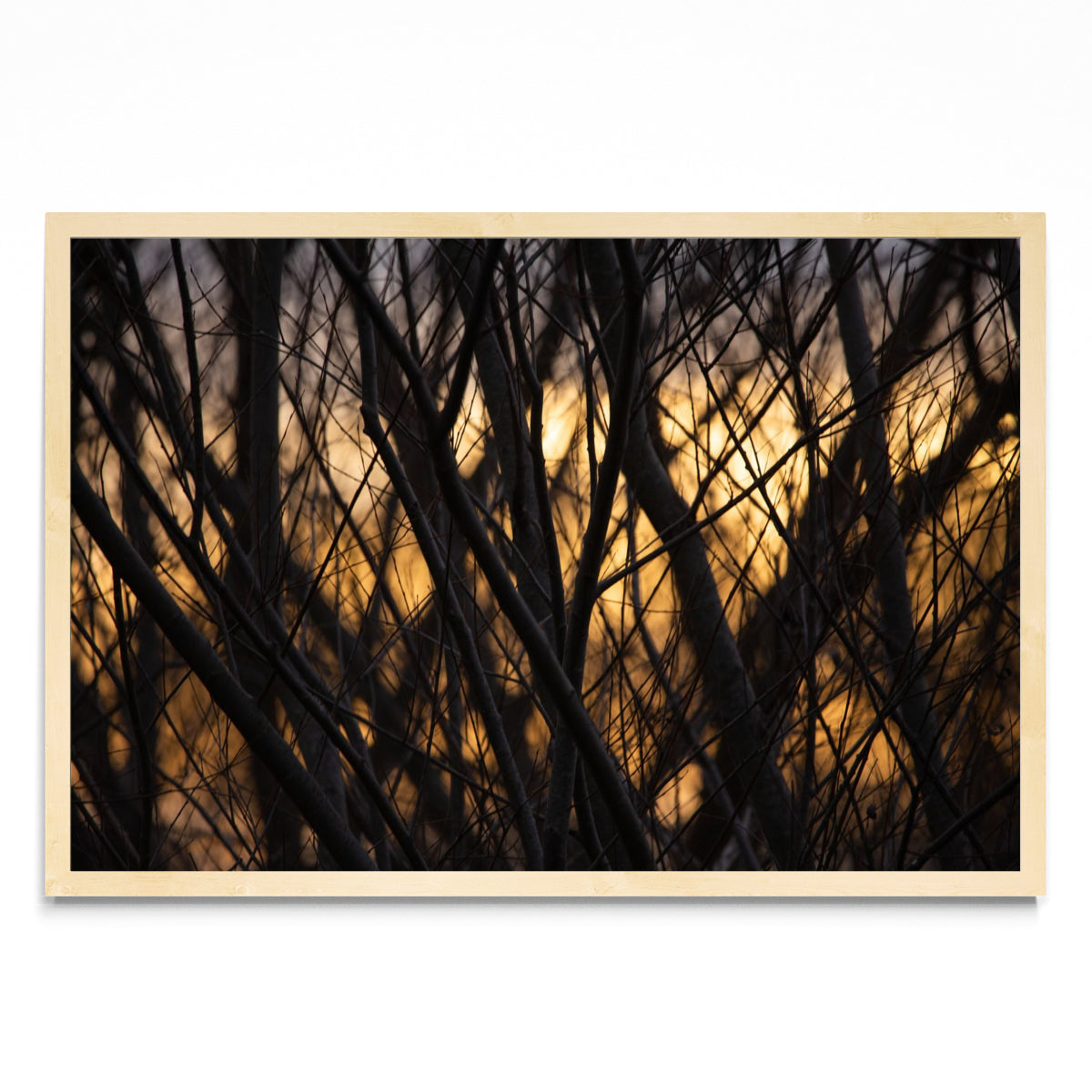 Atardece invierno - FotoH MC