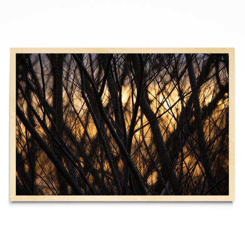 Atardece invierno - FotoH MC