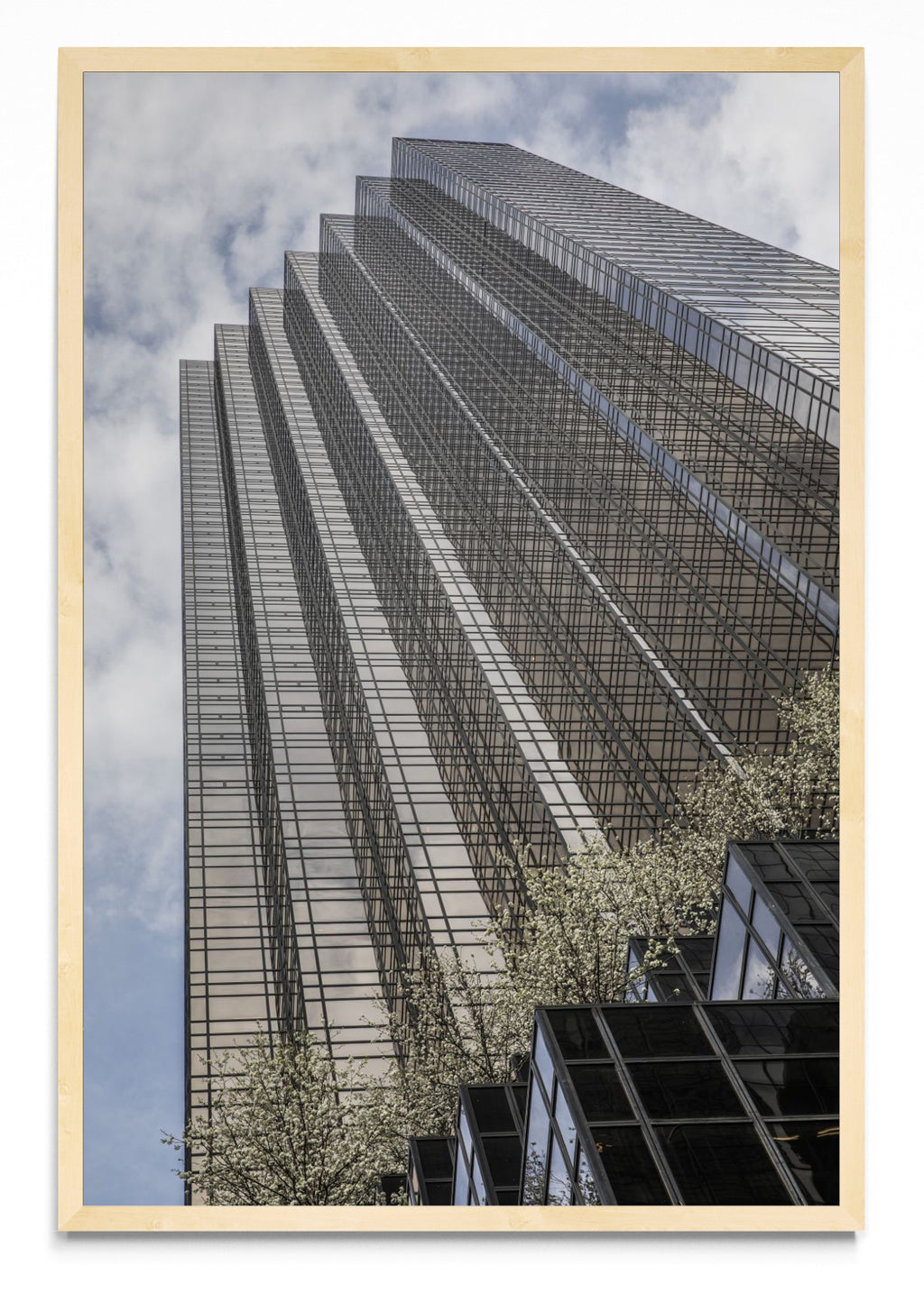 Trump Tower, 5th Avenue - FotoV MC