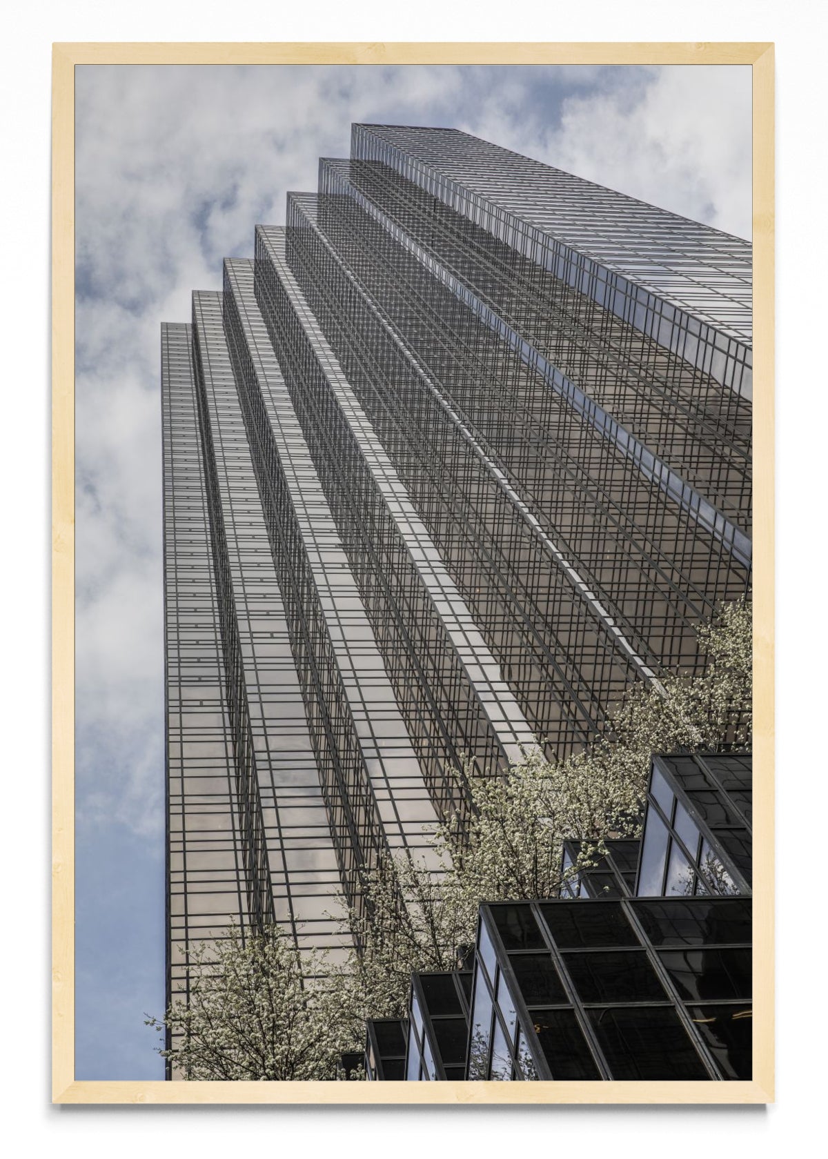 Trump Tower, 5th Avenue - FotoV MC