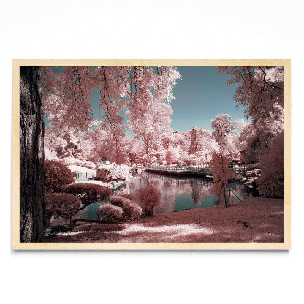 Pink garden - FotoH MC