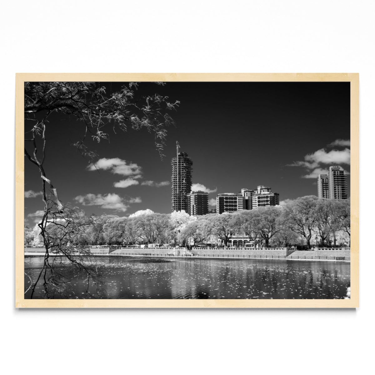 Reserva ecológica Costanera Sur - FotoH MC