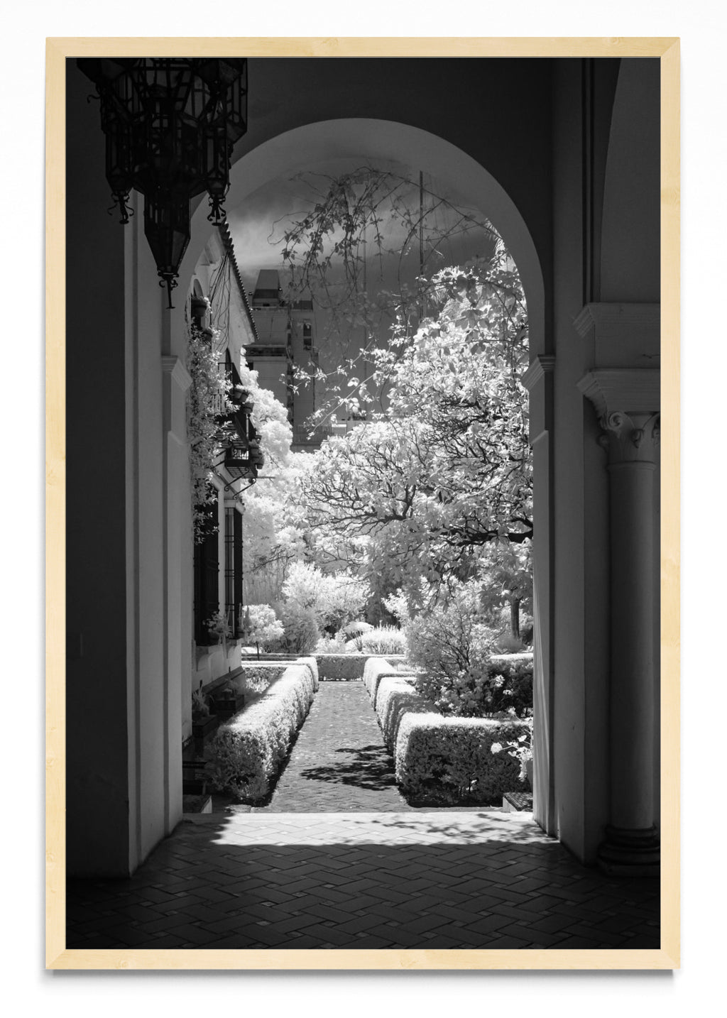 Garden - FotoV MC
