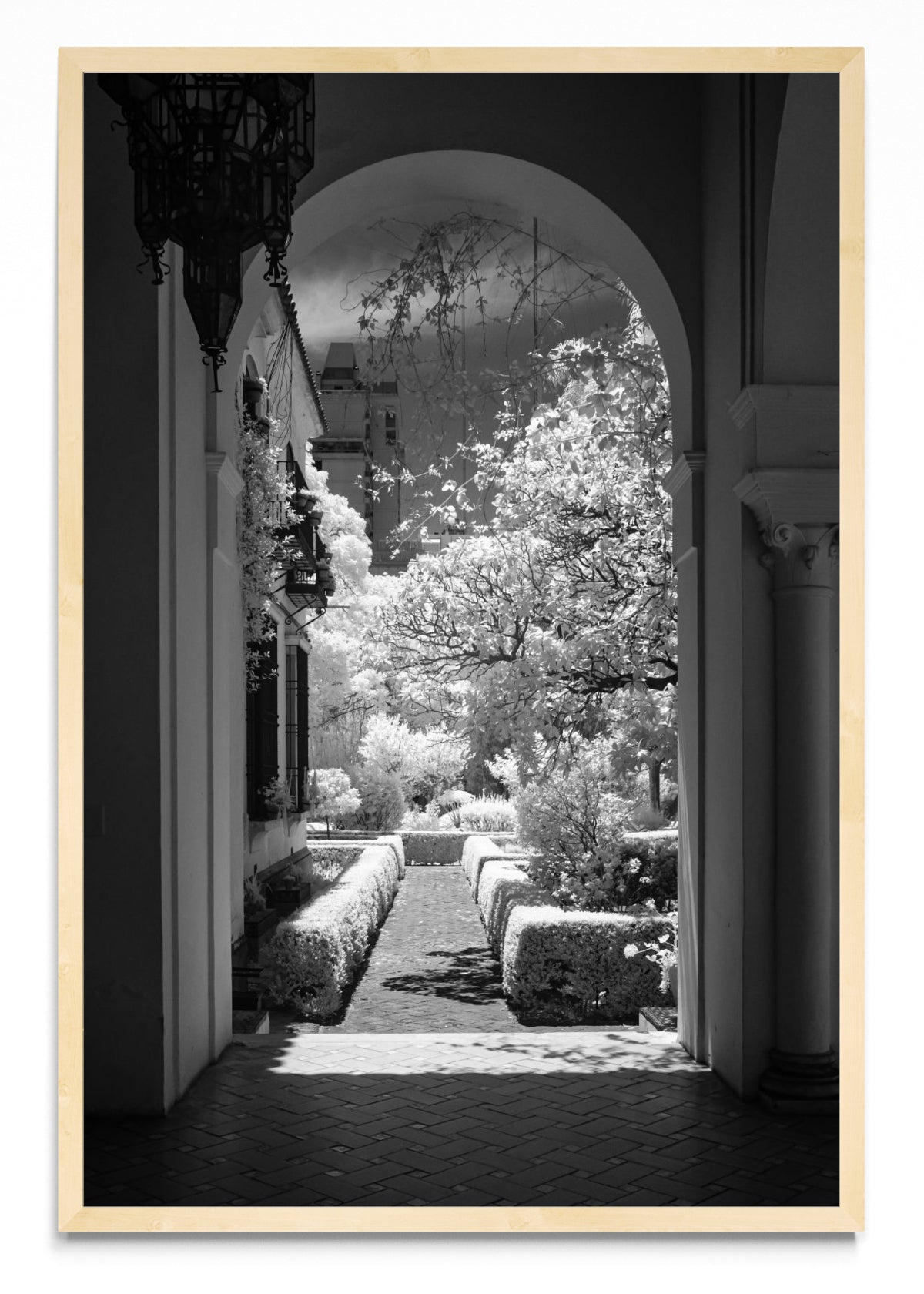 Garden - FotoV MC