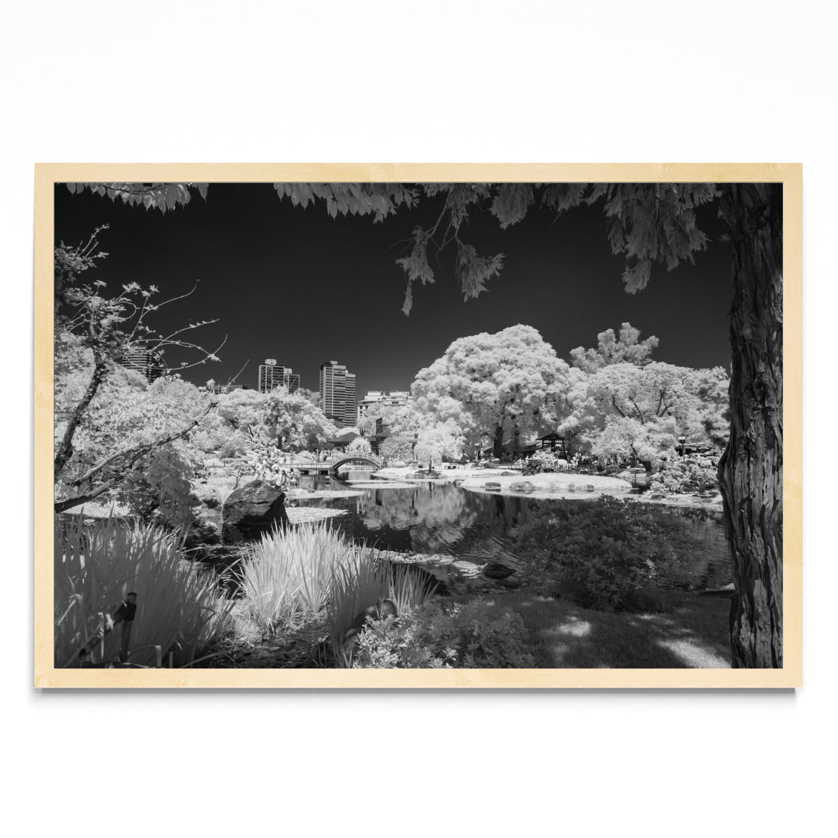 Jardín Japones - FotoH MC
