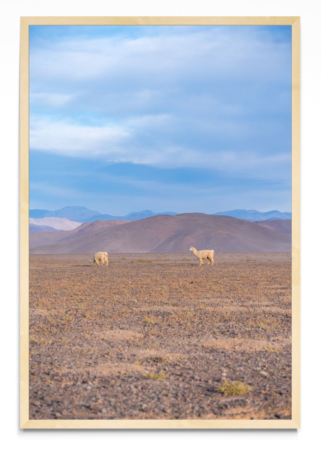 Llamas en la distancia - FotoV MC