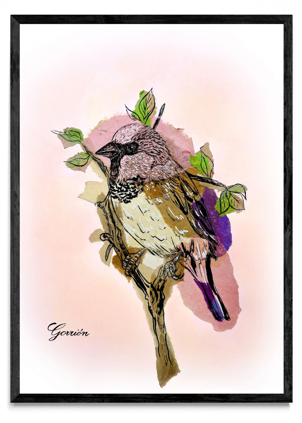 Gorrión - Retrato N