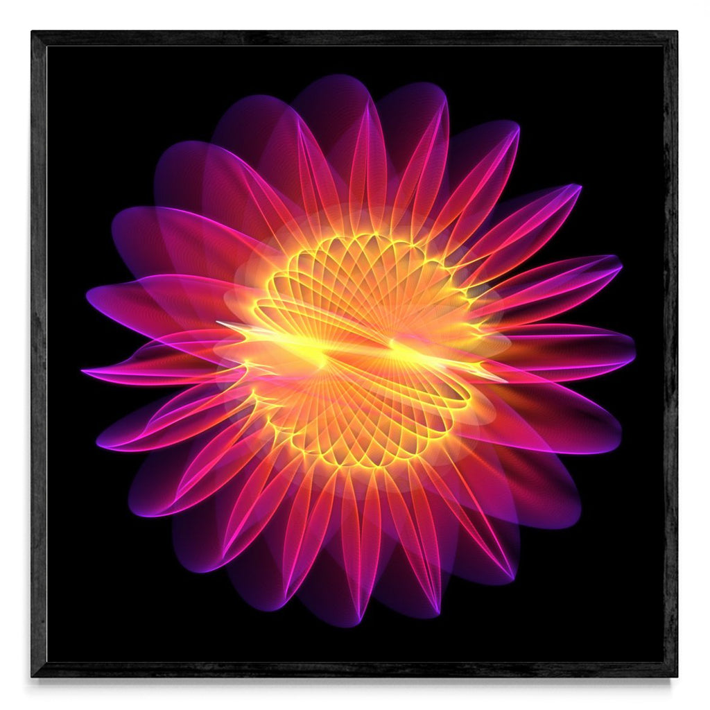 Flor 3 - Cuadrado N
