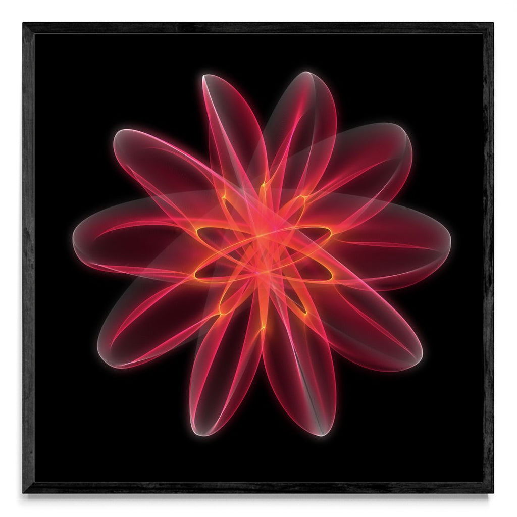 Flor 5 - Cuadrado N