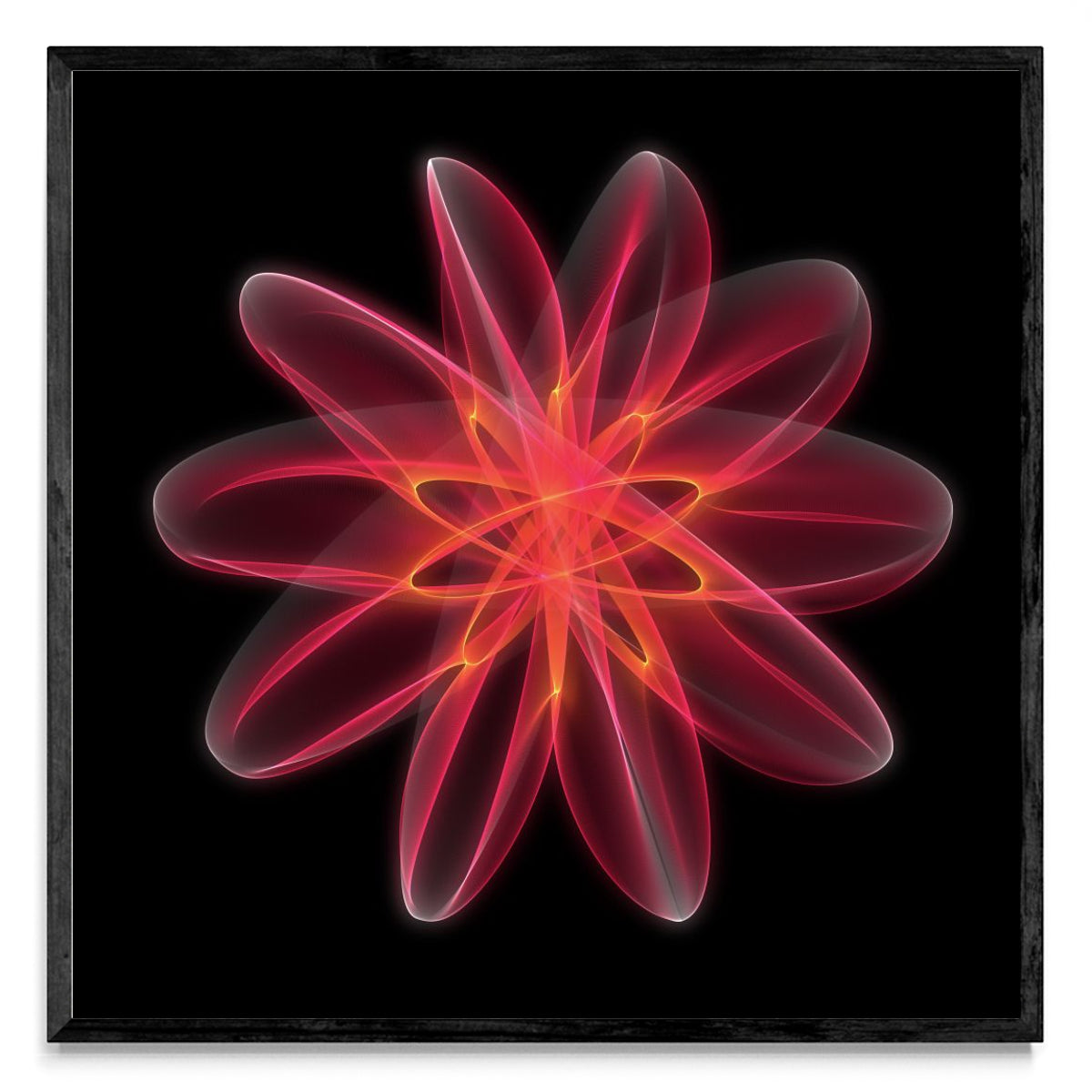 Flor 5 - Cuadrado N