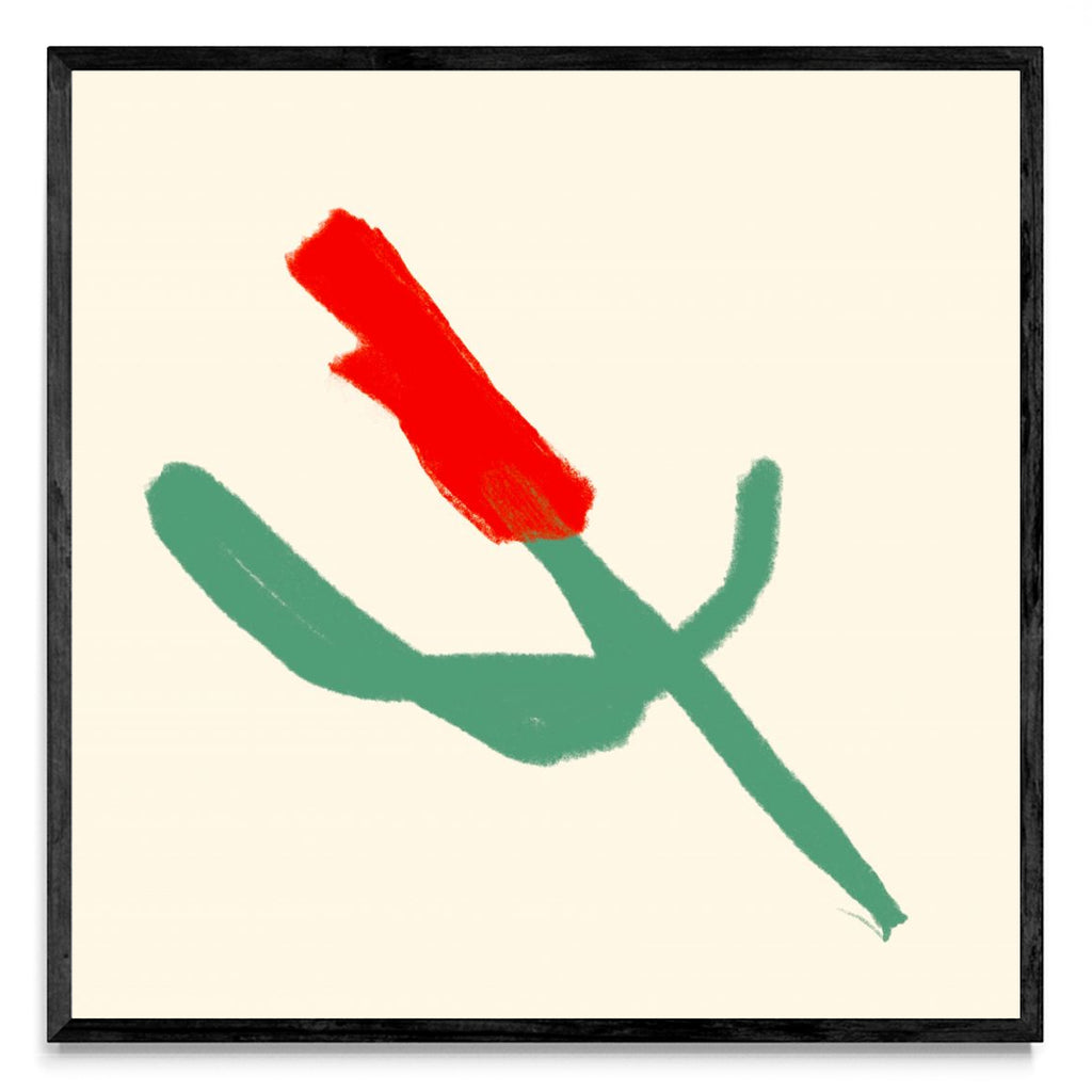 Rosa - Cuadrado N