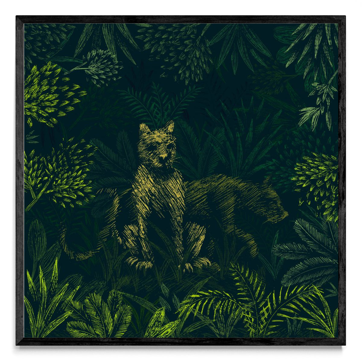 Pumas - Cuadrado N