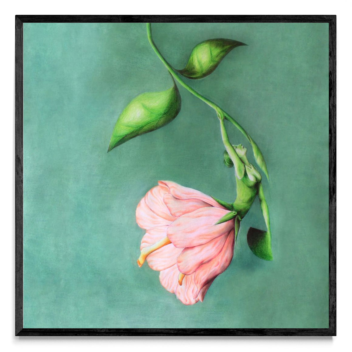 Flor - Cuadrado N