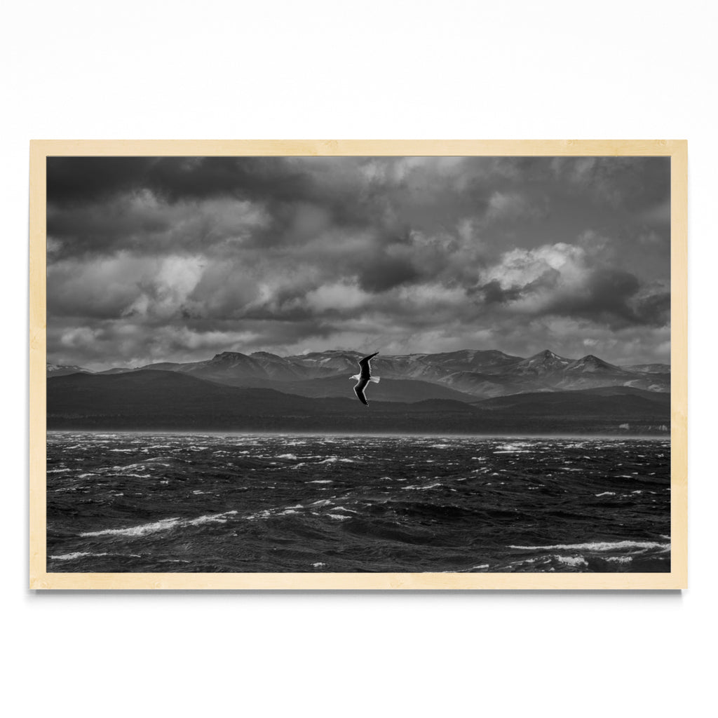 Libertad - FotoH MC