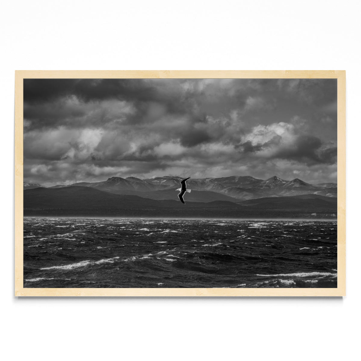 Libertad - FotoH MC