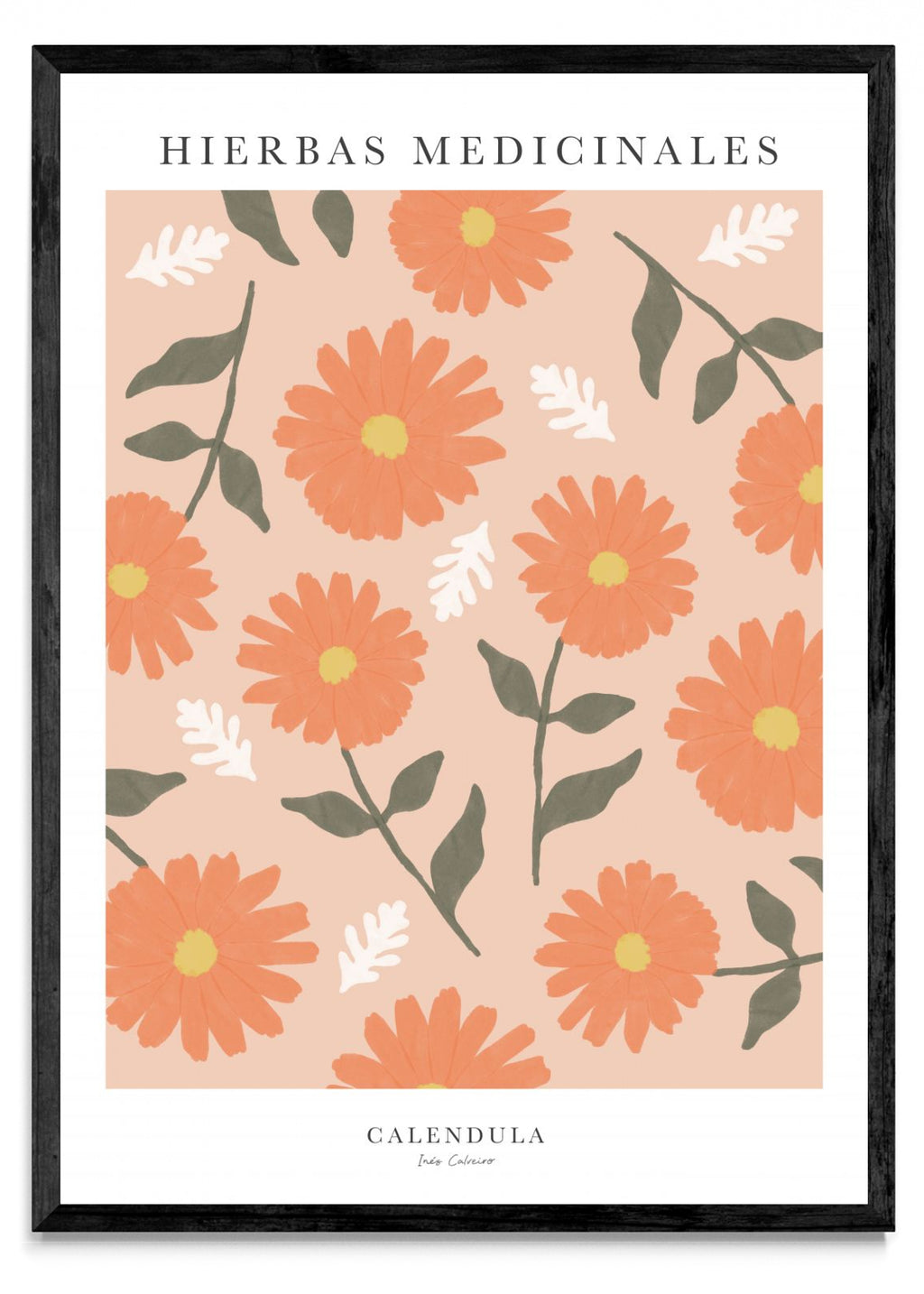 Calendula - Retrato N