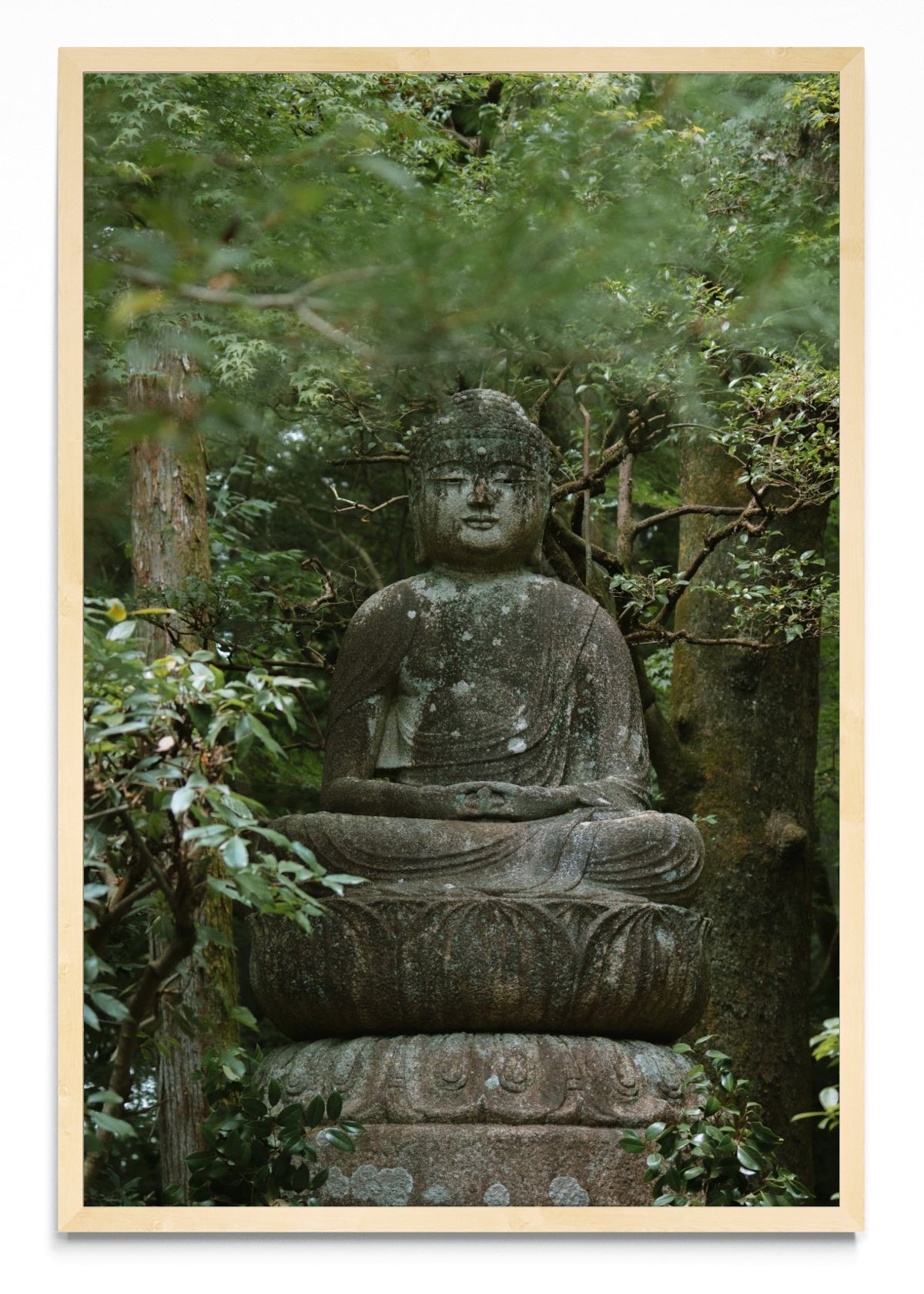 Kyoto Buda - FotoV MC