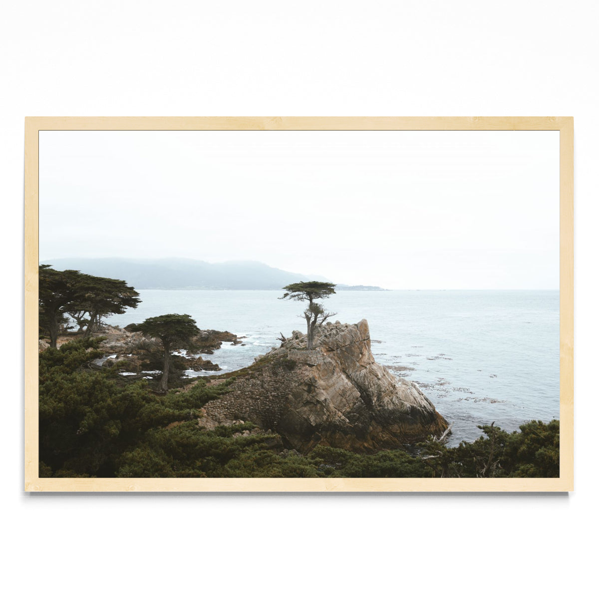 Lonely Cypress - FotoH MC