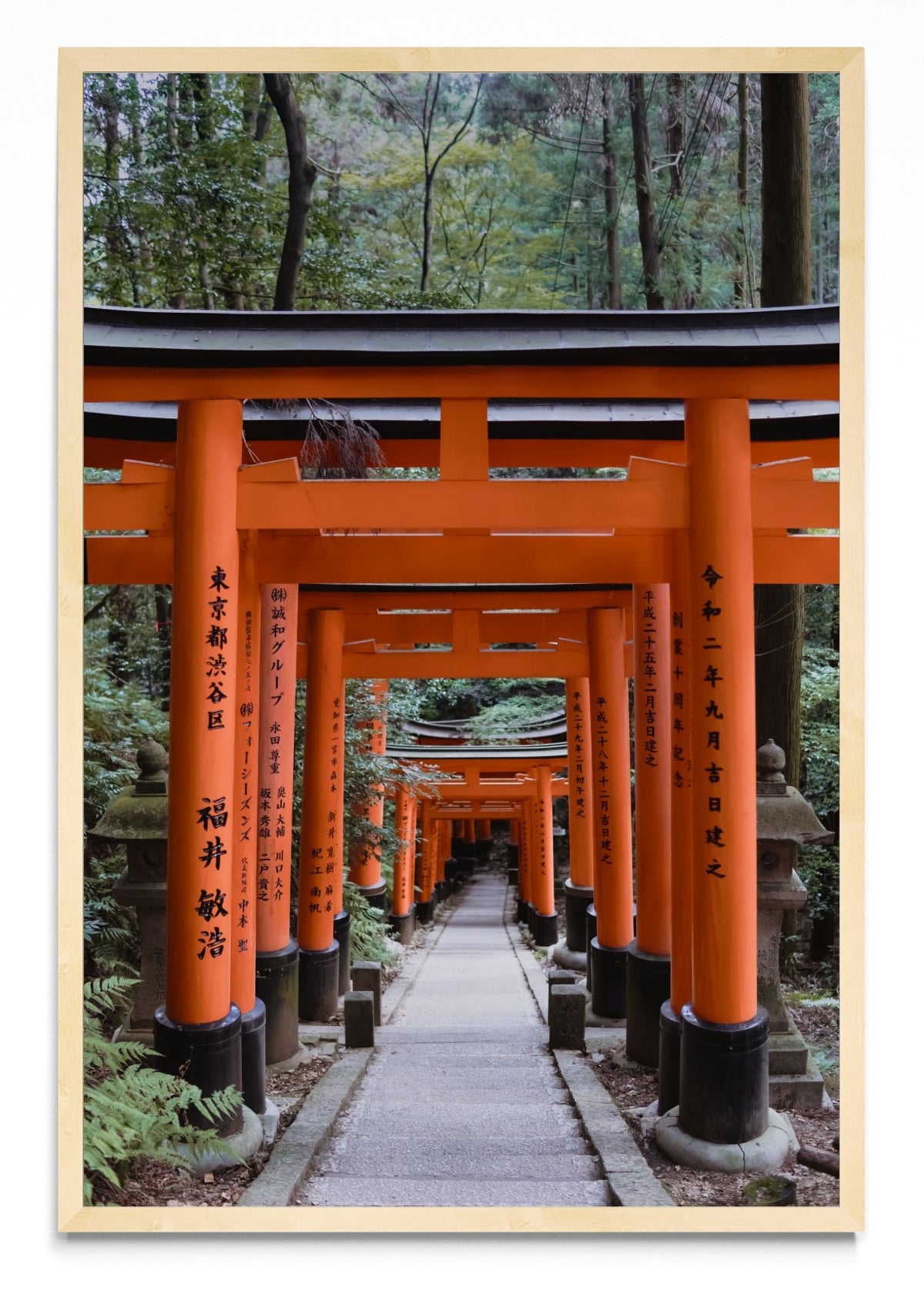 Fushimi Inari-taisha - FotoV MC