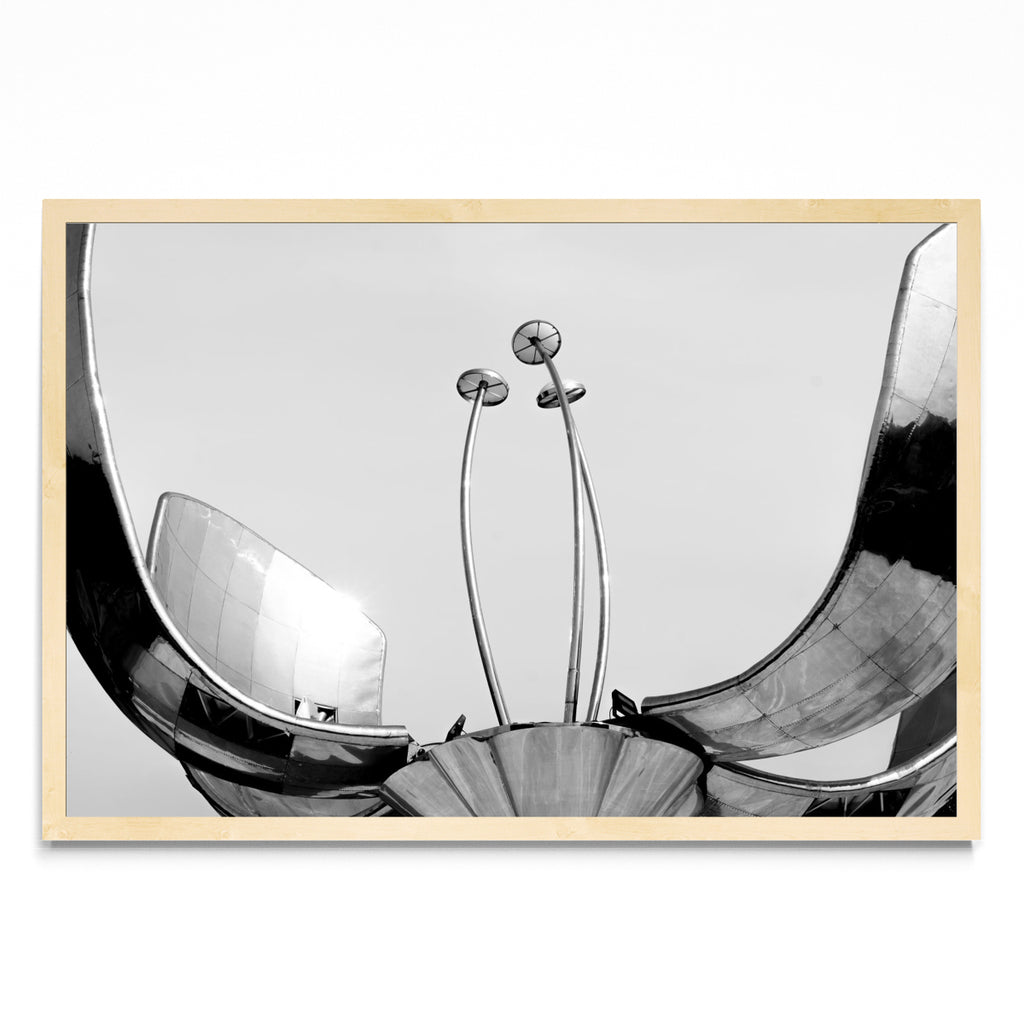 Floralis Generica - FotoH MC