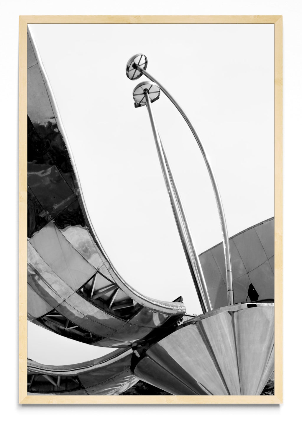 Floralis Acero - FotoV MC
