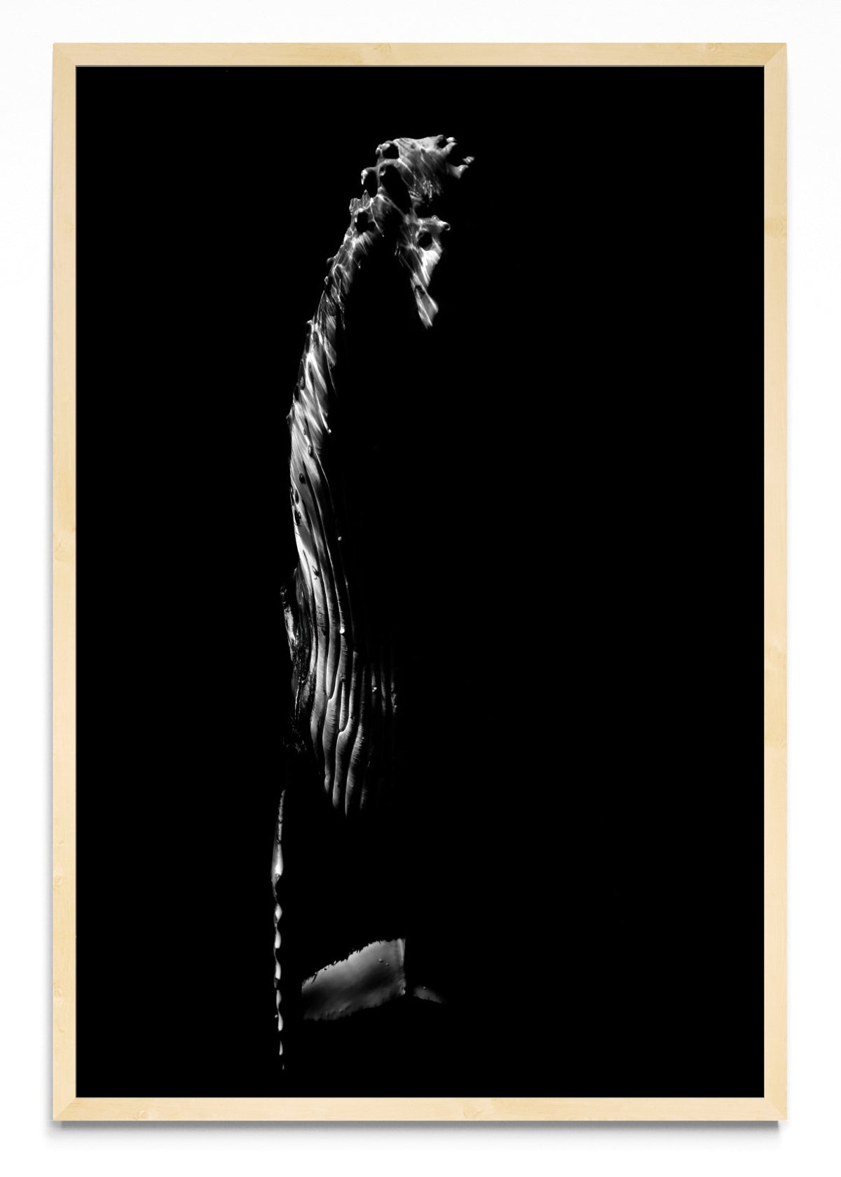 B&W Rise - FotoV MC