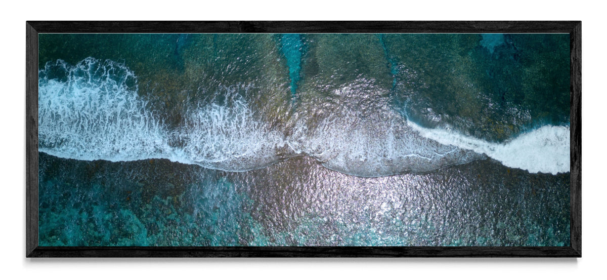 Reef - Pano H N
