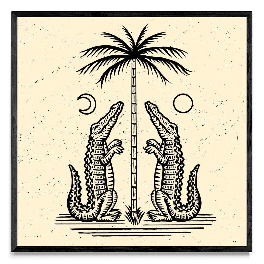 Cocos - Cuadrado N