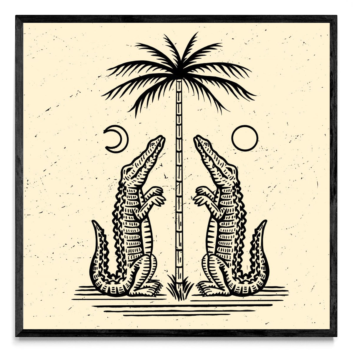 Cocos - Cuadrado N
