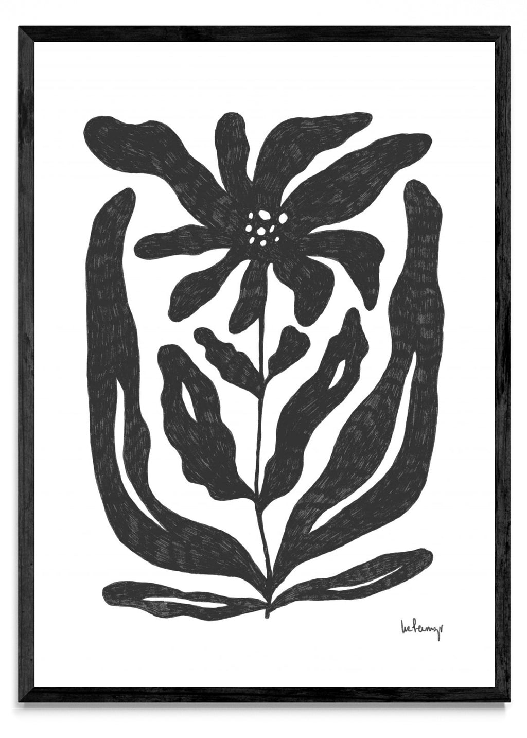 Flor casi negra 2 - Retrato N