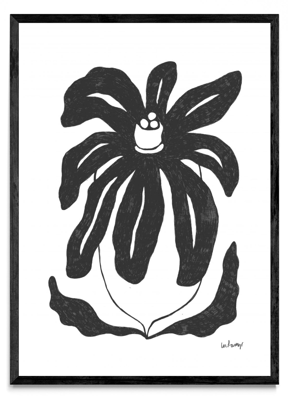 Flor casi negra 3 - Retrato N