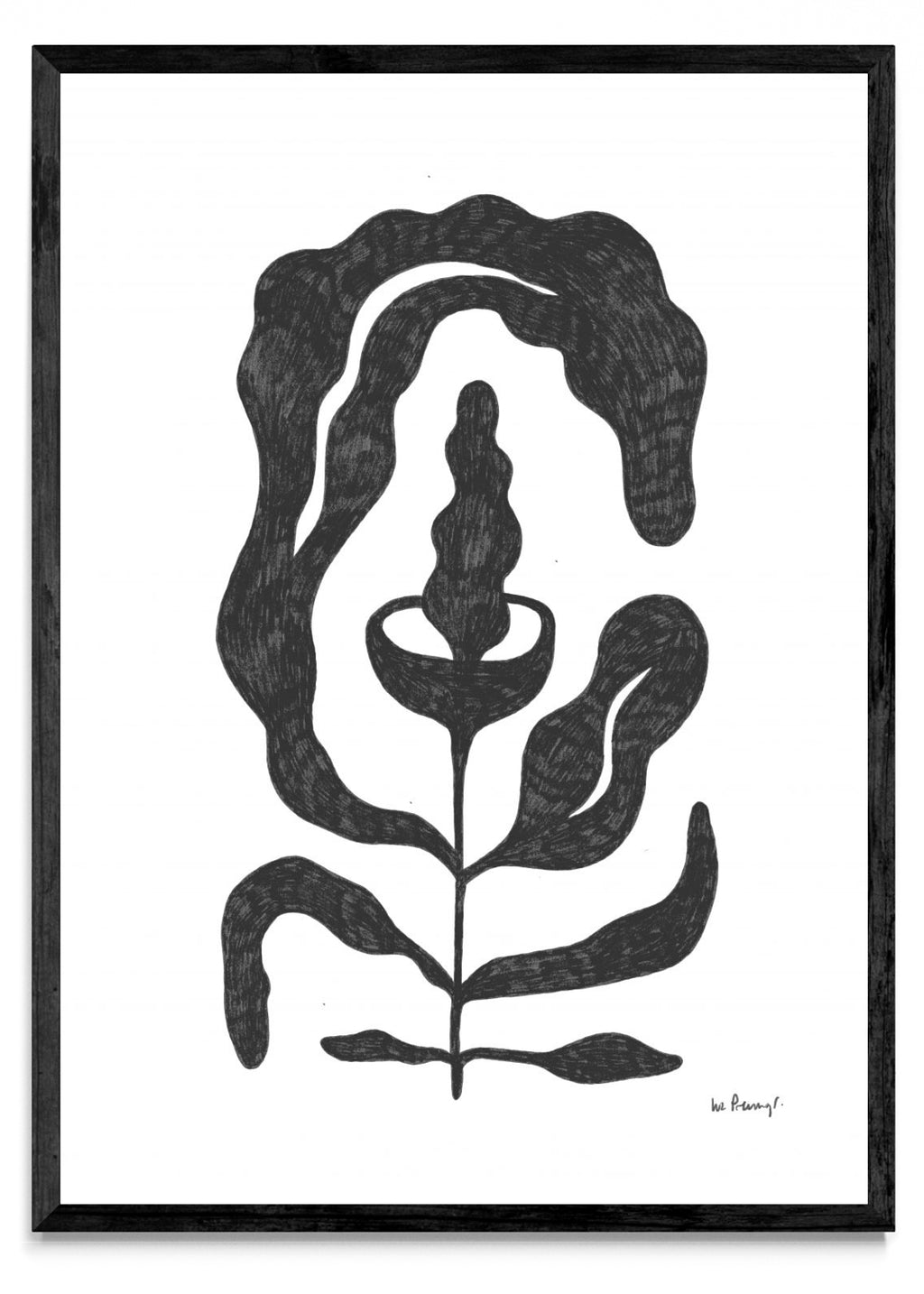 Flor casi negra 4 - Retrato N
