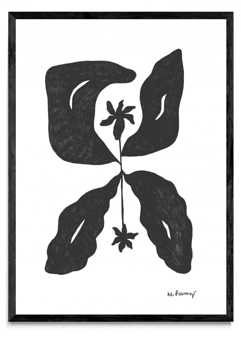 Flor casi negra 6 - Retrato N