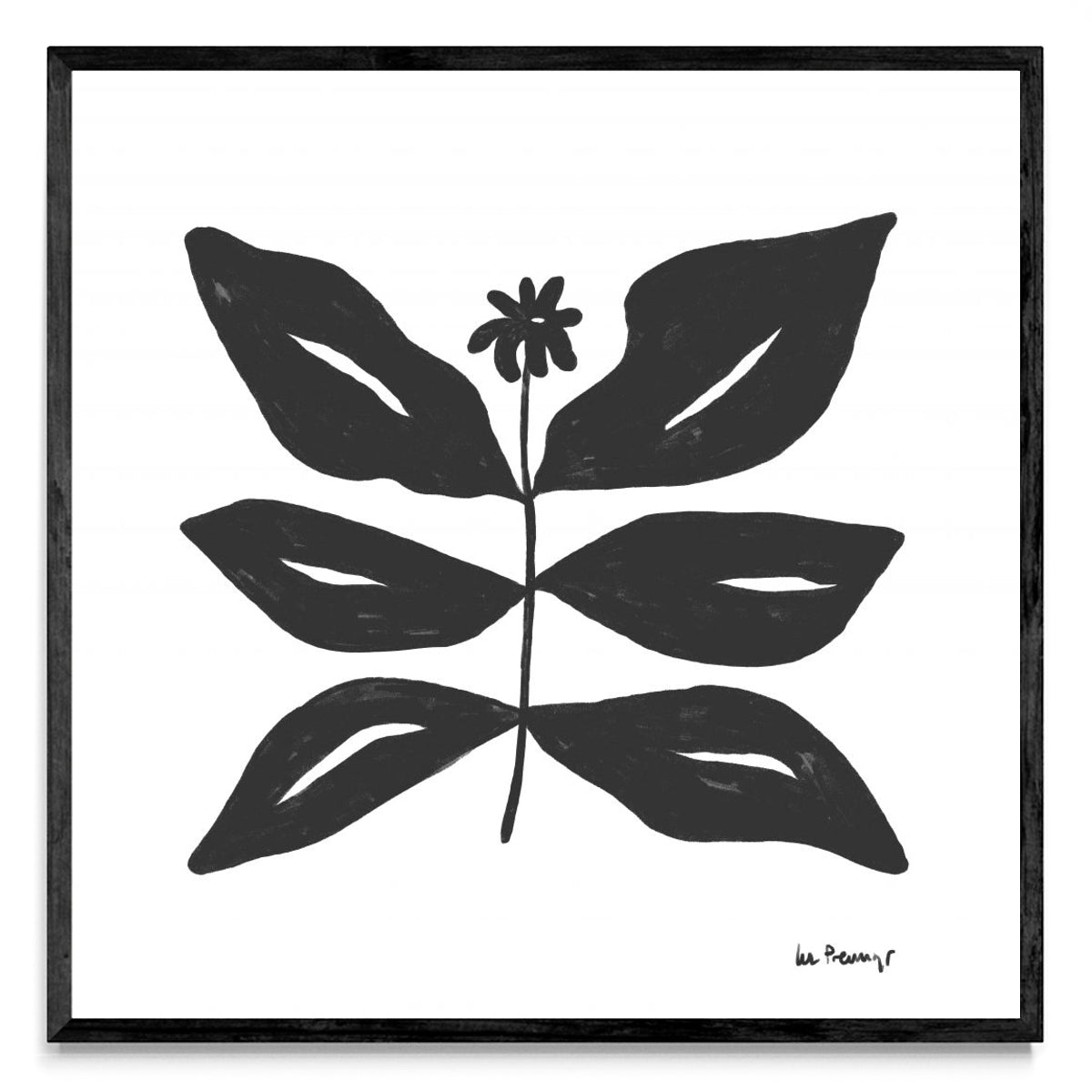 Flor casi negra 8 - Cuadrado N