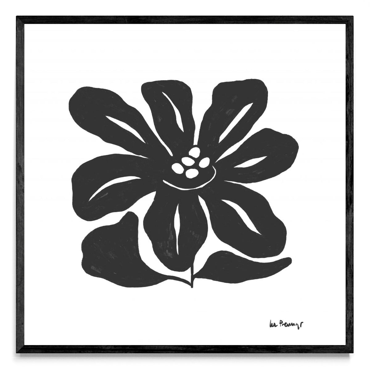 Flor casi negra 9 - Cuadrado N