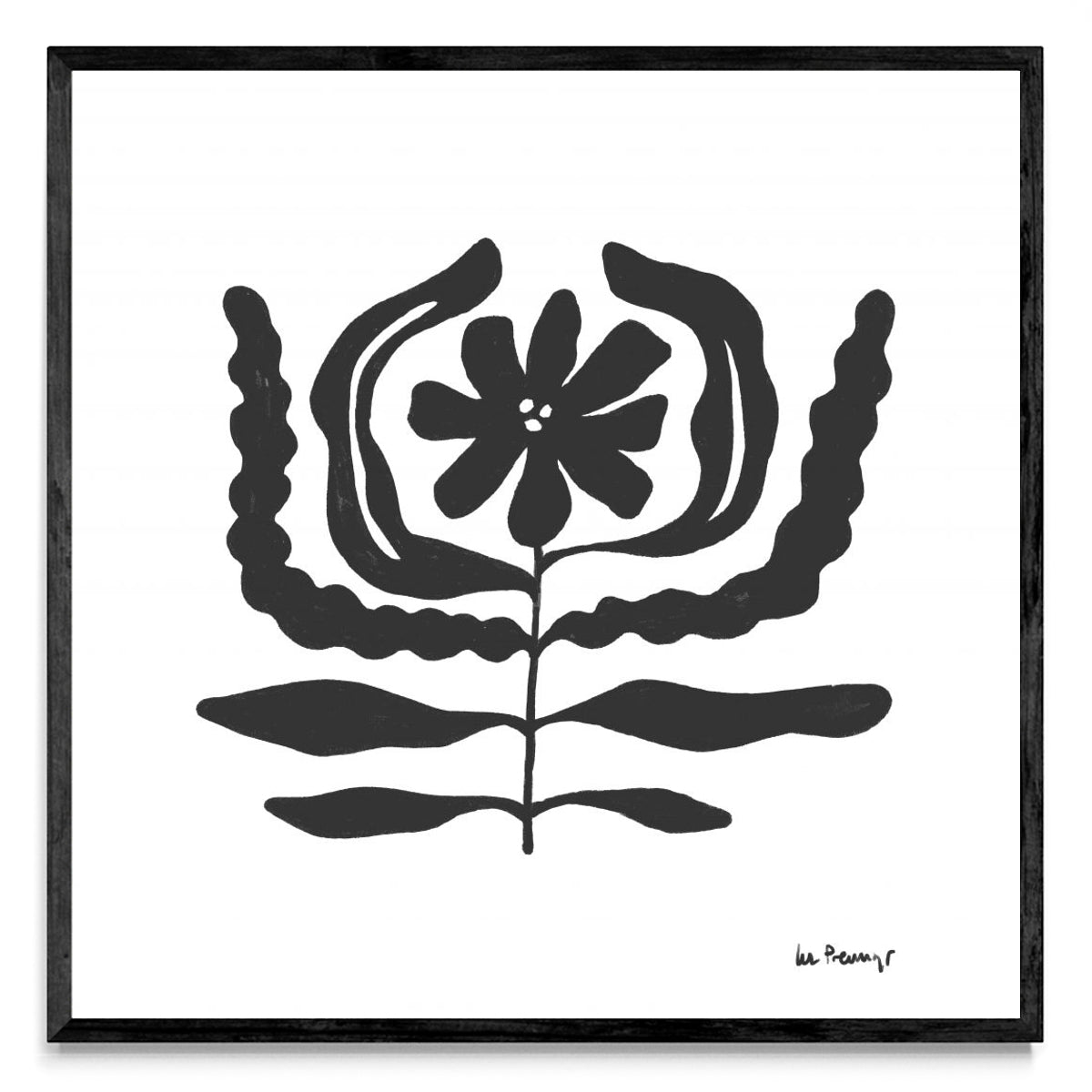 Flor casi negra 10 - Cuadrado N